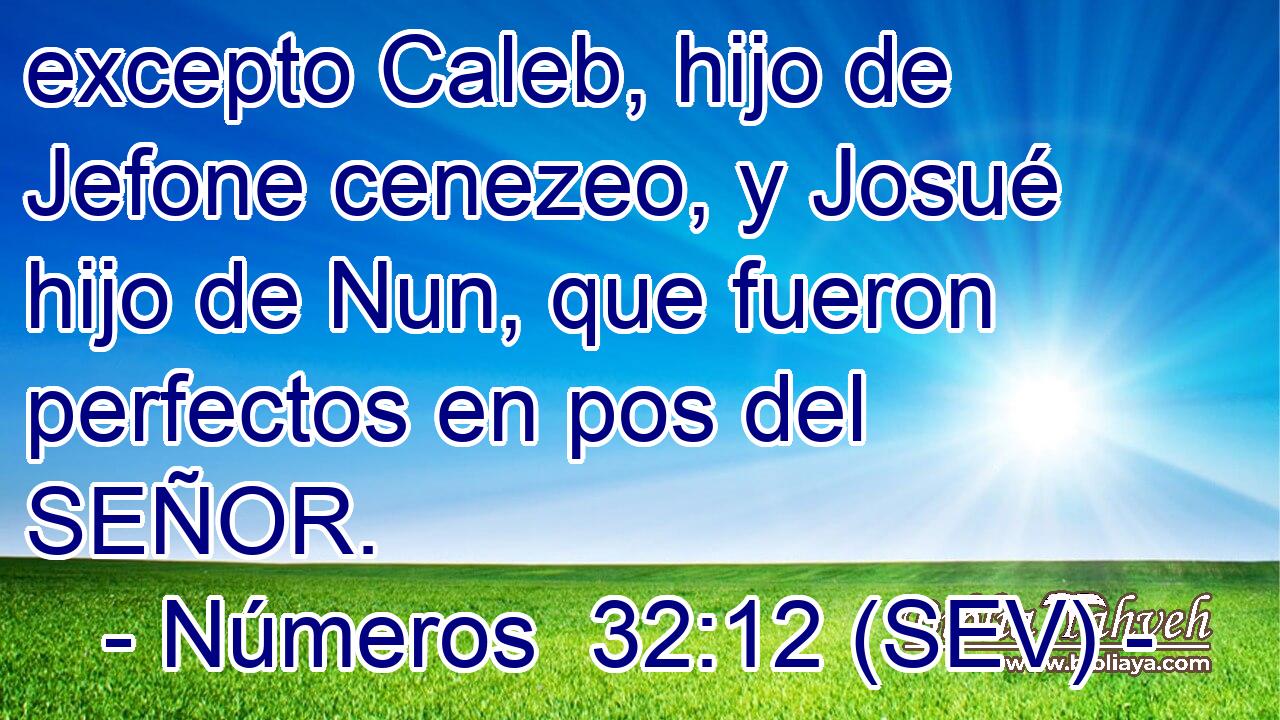 excepto Caleb, hijo de Jefone cenezeo, y Josué hijo de Nun, que fueron perfectos en pos del SEÑOR.