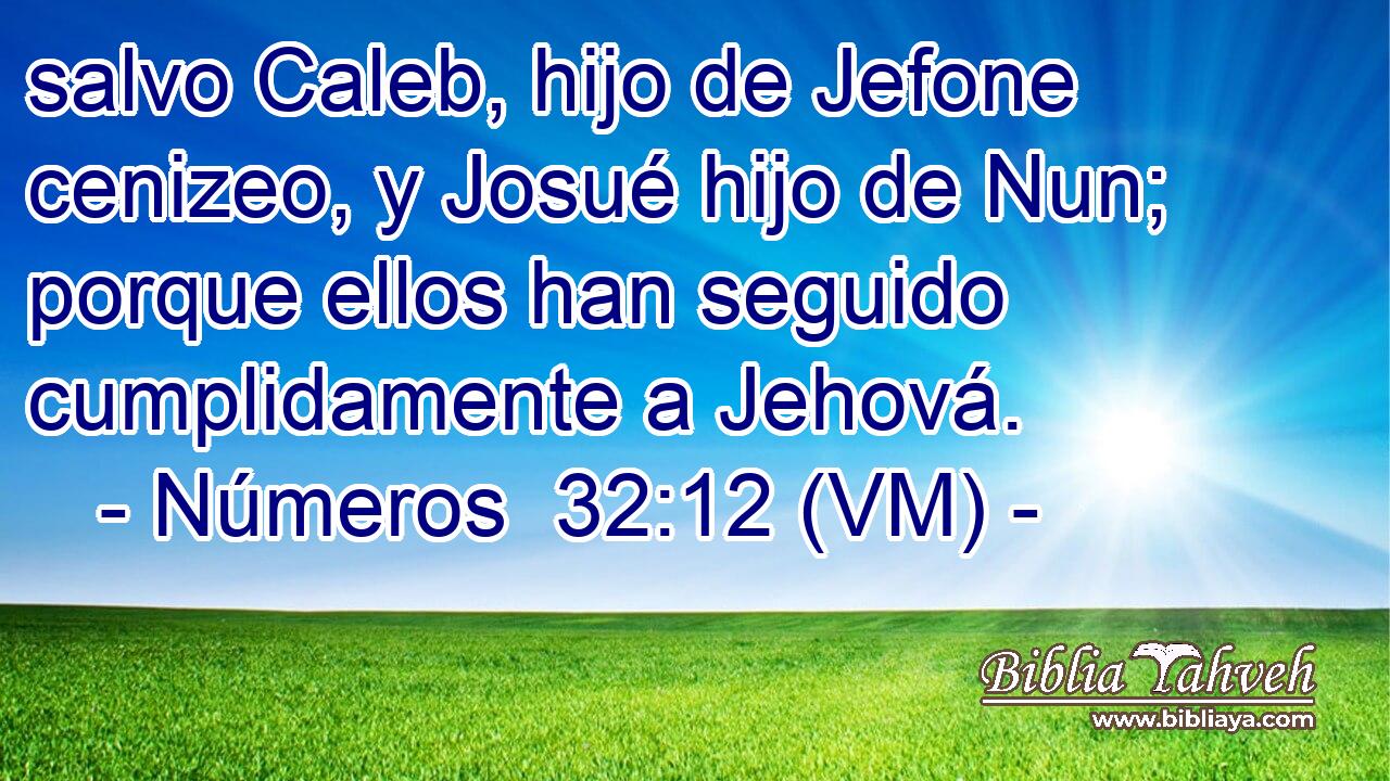  salvo Caleb, hijo de Jefone cenizeo, y Josué hijo de Nun; porque ellos han seguido cumplidamente a Jehová. 