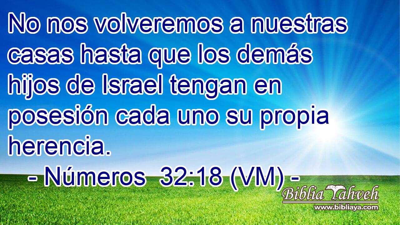  No nos volveremos a nuestras casas hasta que los demás hijos de Israel tengan en posesión cada uno su propia herencia. 