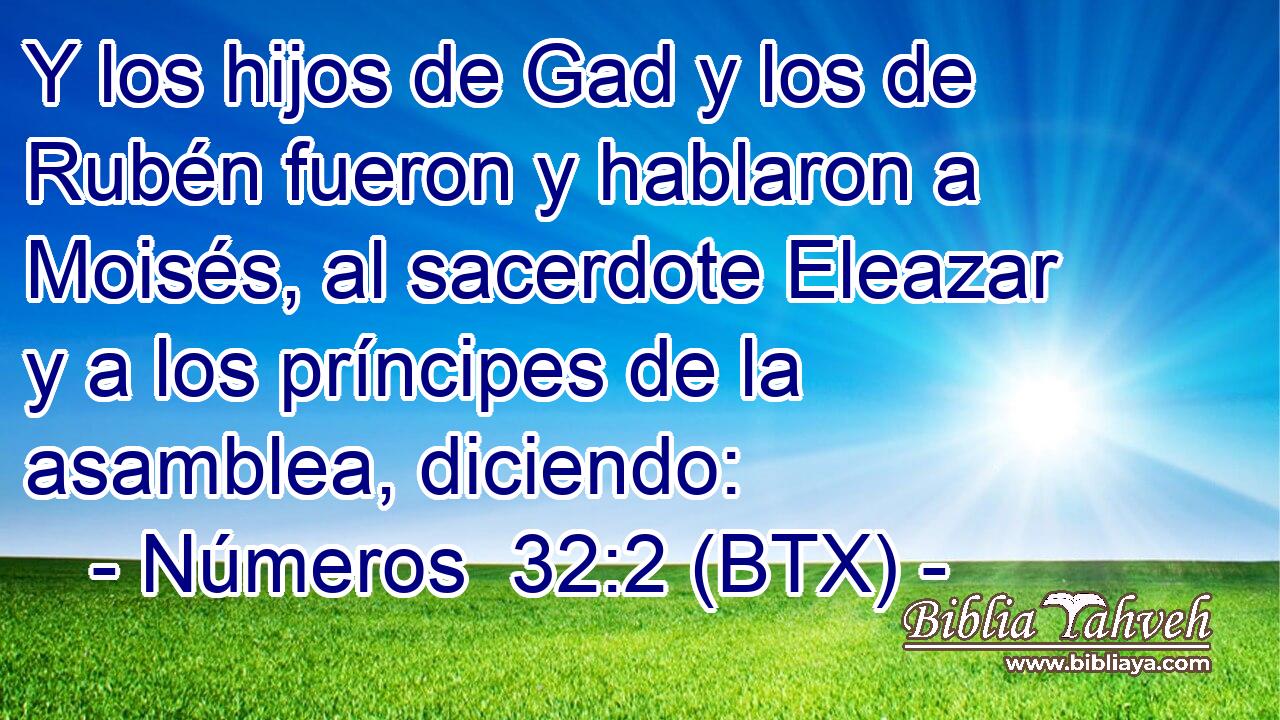Y los hijos de Gad y los de Rubén fueron y hablaron a Moisés, al sacerdote Eleazar y a los príncipes de la asamblea, diciendo: