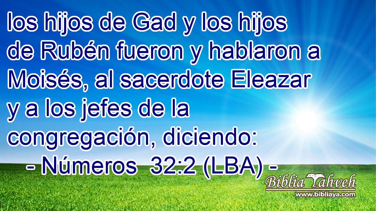 los hijos de Gad y los hijos de Rubén fueron y hablaron a Moisés, al sacerdote Eleazar y a los jefes de la congregación, diciendo: