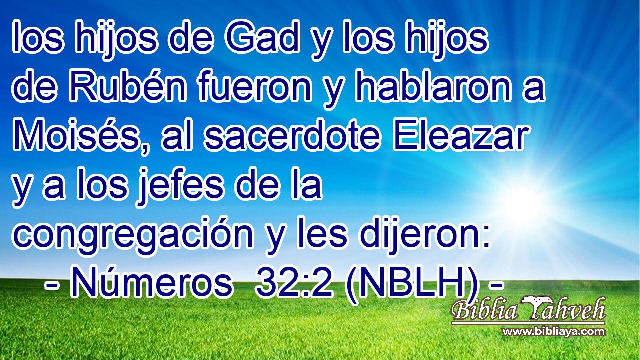  los hijos de Gad y los hijos de Rubén fueron y hablaron a Moisés, al sacerdote Eleazar y a los jefes de la congregación y les dijeron: 