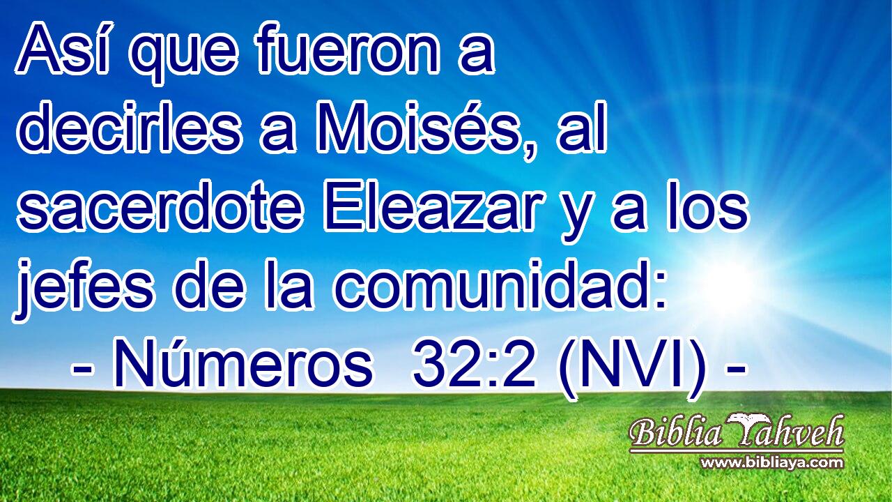  Así que fueron a decirles a Moisés, al sacerdote Eleazar y a los jefes de la comunidad: 
