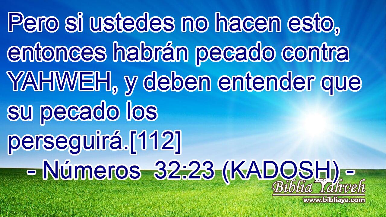  Pero si ustedes no hacen esto, entonces habrán pecado contra YAHWEH, y deben entender que su pecado los perseguirá.[112] 
