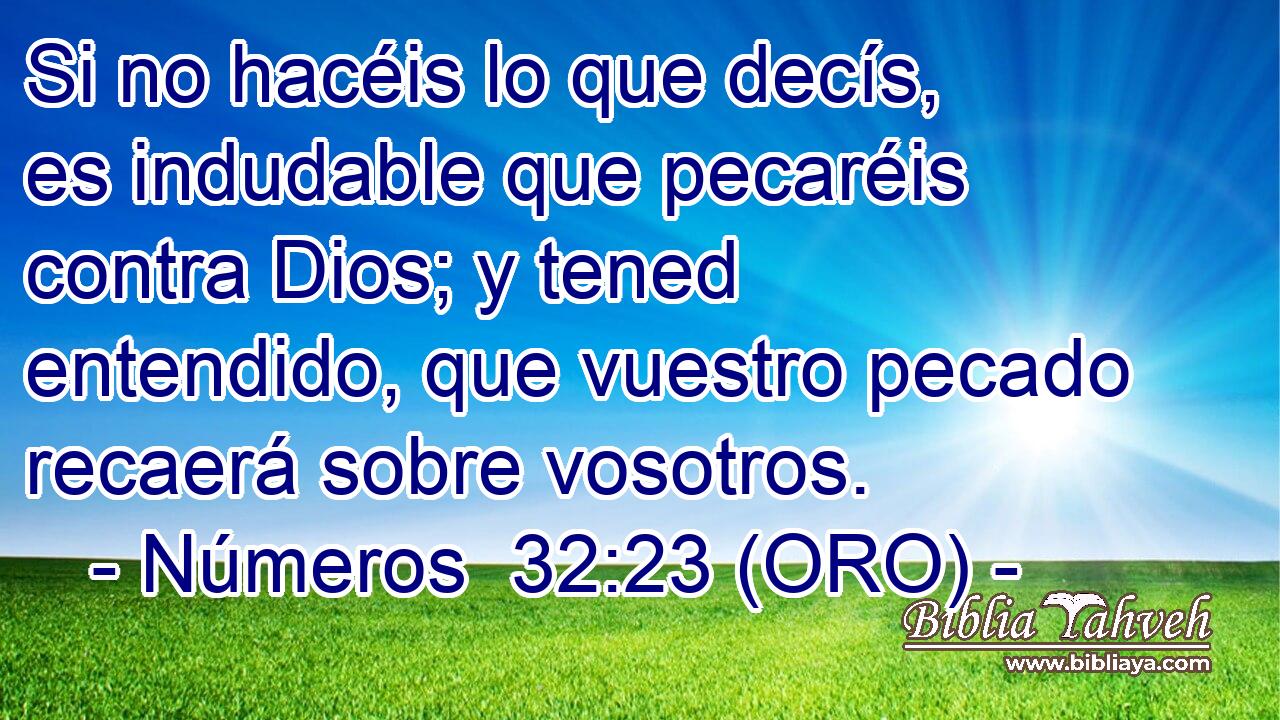  Si no hacéis lo que decís, es indudable que pecaréis contra Dios; y tened entendido, que vuestro pecado recaerá sobre vosotros. 