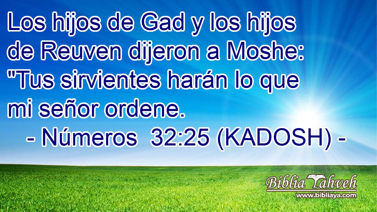  Los hijos de Gad y los hijos de Reuven dijeron a Moshe: 