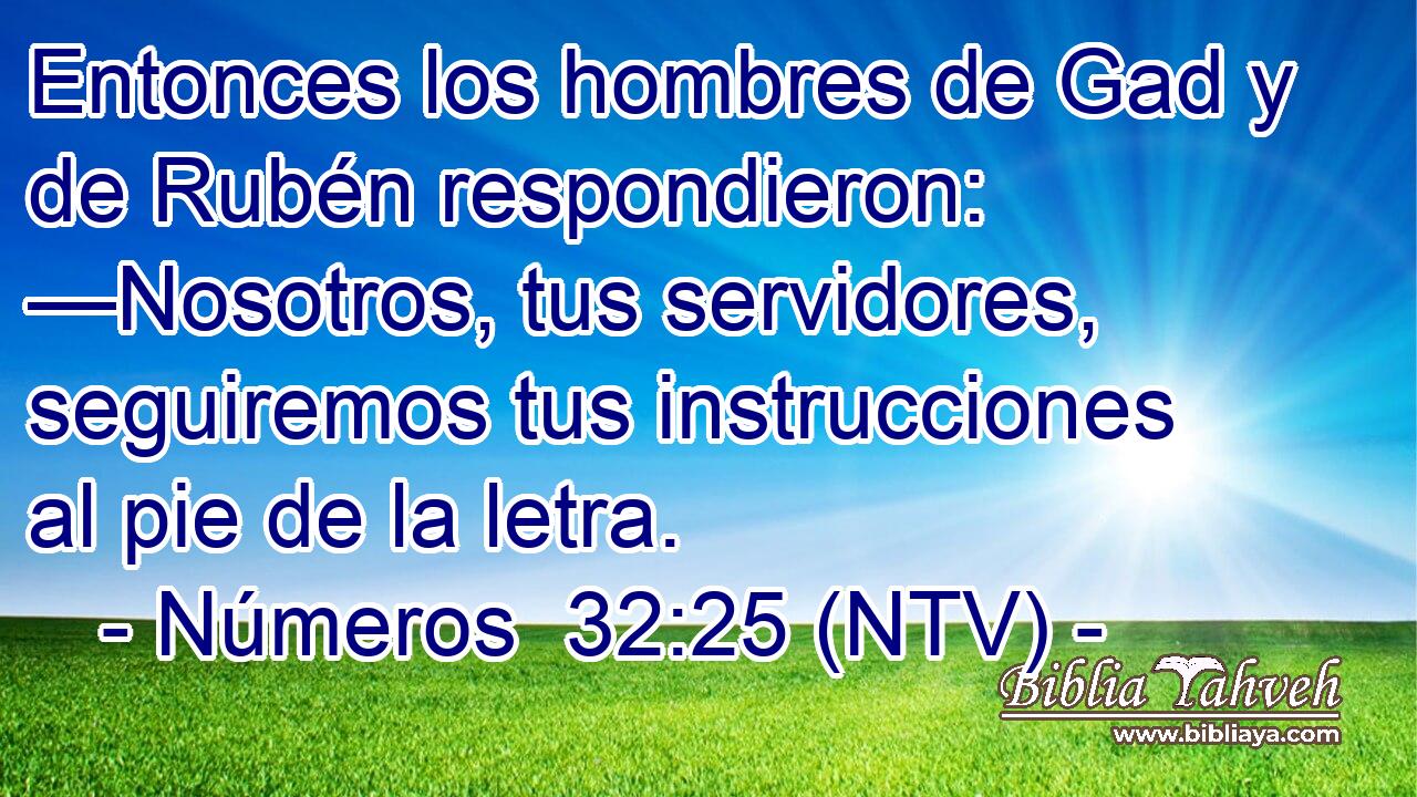 Entonces los hombres de Gad y de Rubén respondieron: —Nosotros, tus servidores, seguiremos tus instrucciones al pie de la letra.