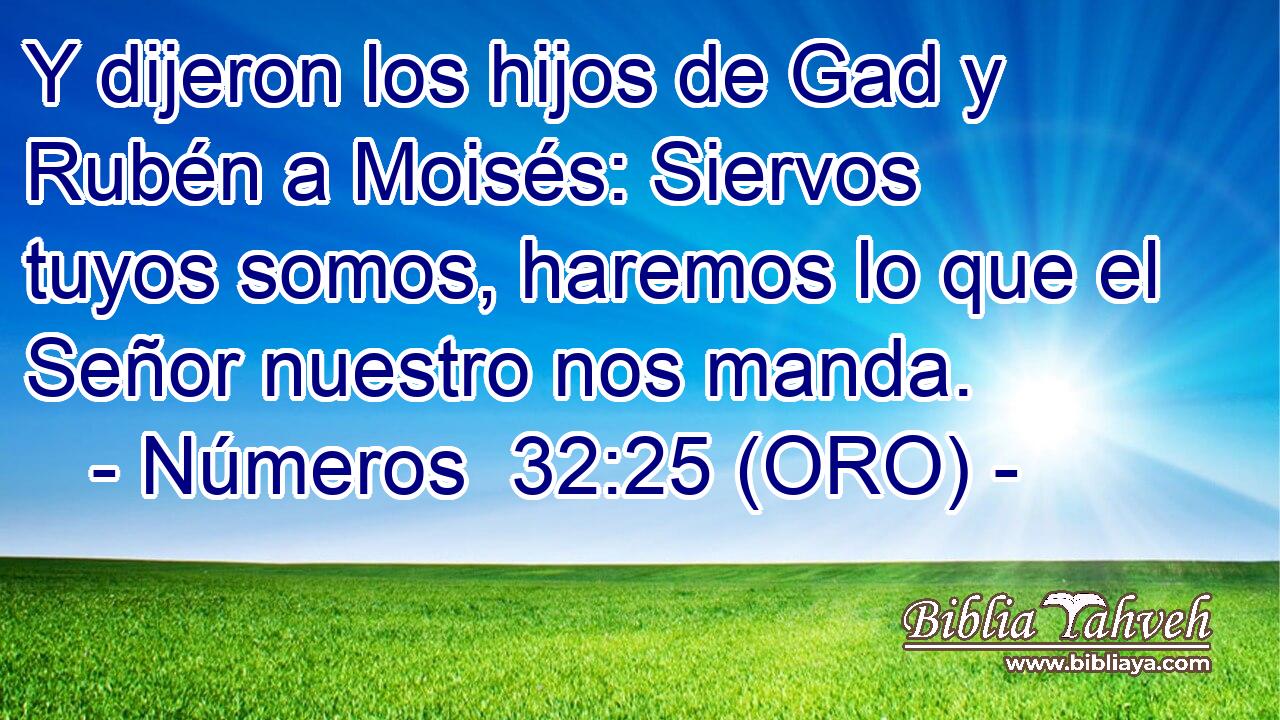  Y dijeron los hijos de Gad y Rubén a Moisés: Siervos tuyos somos, haremos lo que el Señor nuestro nos manda. 