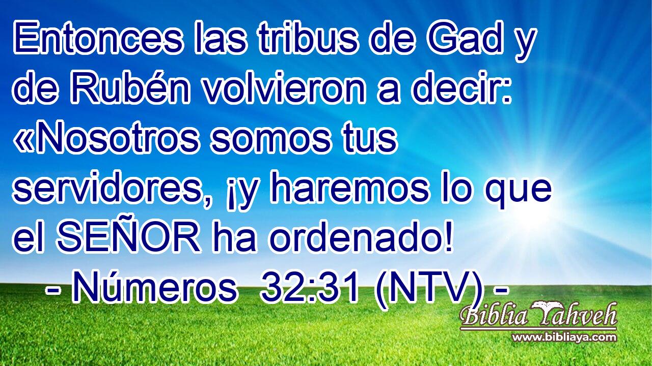 Entonces las tribus de Gad y de Rubén volvieron a decir: «Nosotros somos tus servidores, ¡y haremos lo que el SEÑOR ha ordenado!