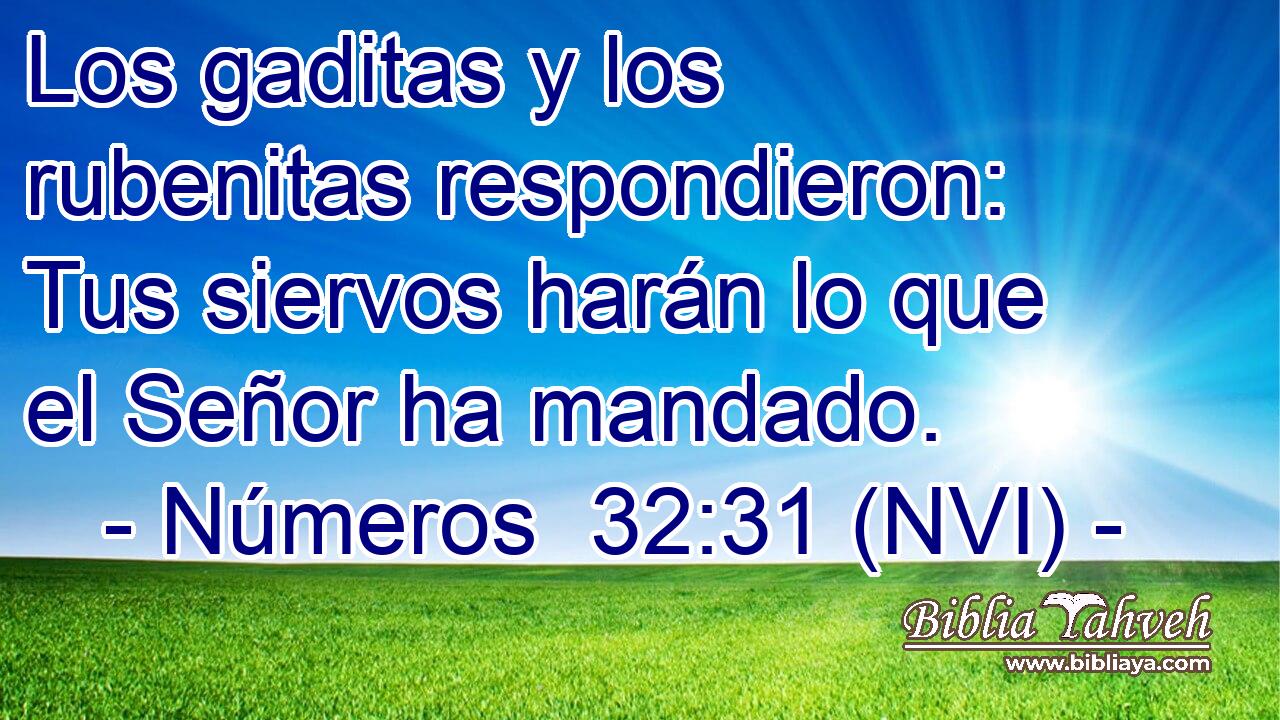  Los gaditas y los rubenitas respondieron: Tus siervos harán lo que el Señor ha mandado. 