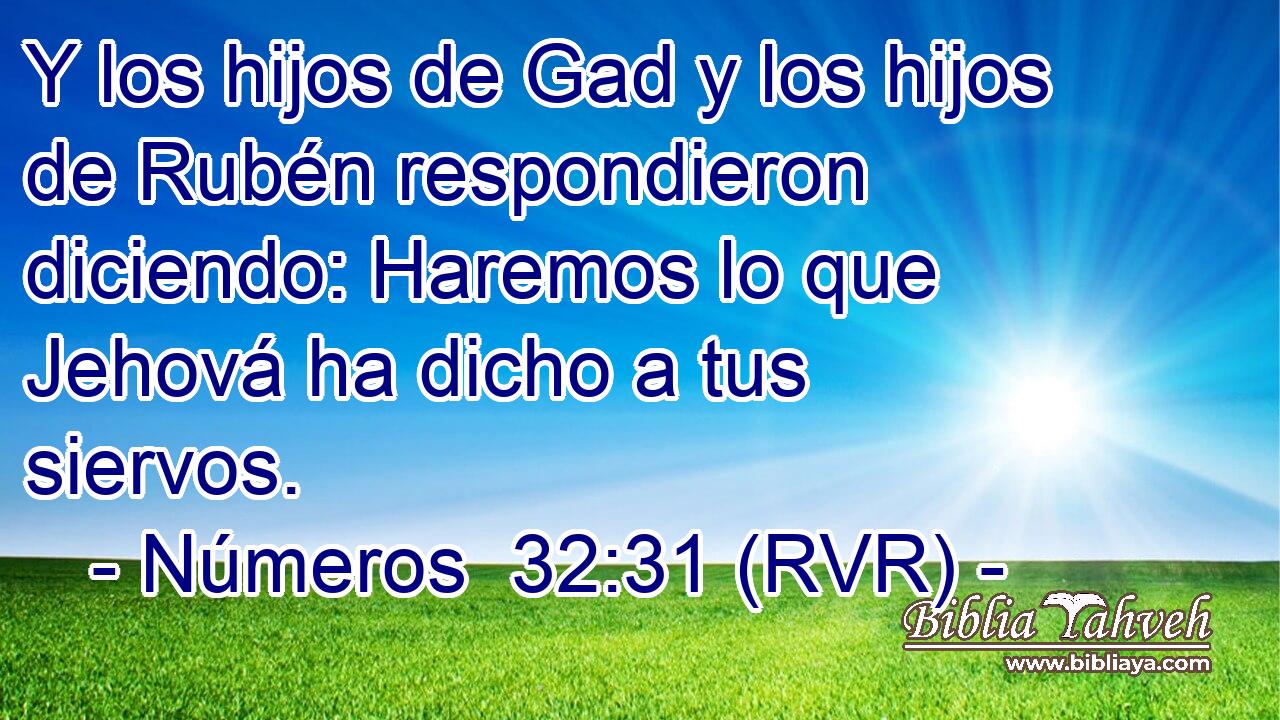 Y los hijos de Gad y los hijos de Rubén respondieron diciendo: Haremos lo que Jehová ha dicho a tus siervos.