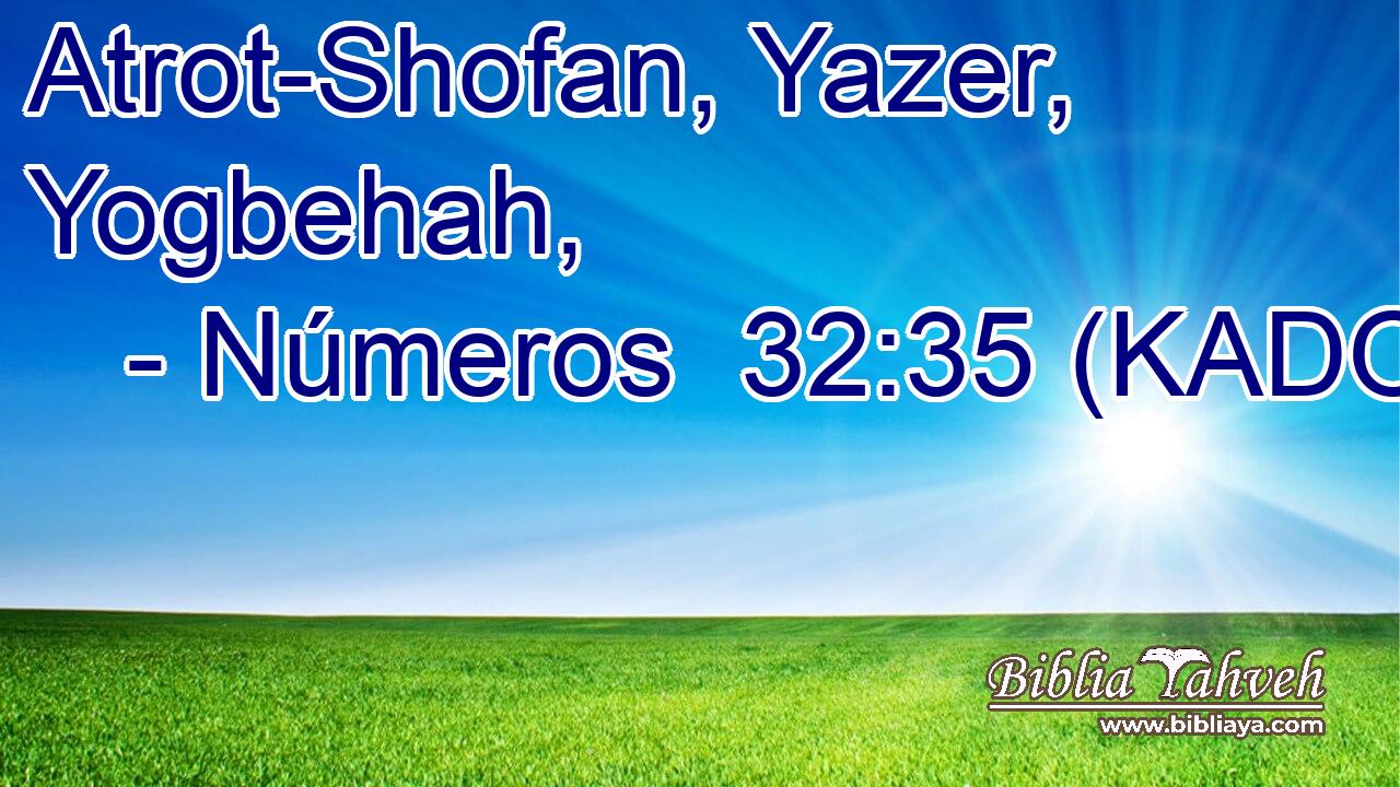  Atrot-Shofan, Yazer, Yogbehah, 