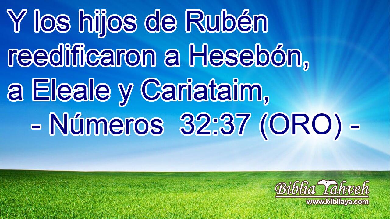  Y los hijos de Rubén reedificaron a Hesebón, a Eleale y Cariataim, 