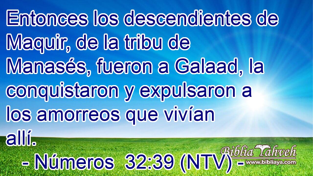 Entonces los descendientes de Maquir, de la tribu de Manasés, fueron a Galaad, la conquistaron y expulsaron a los amorreos que vivían allí.