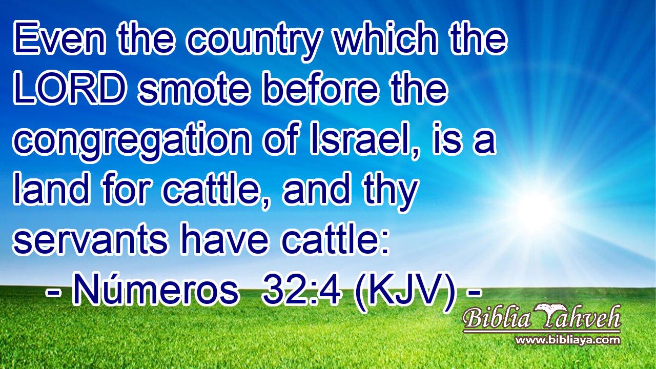 Even the country which the LORD smote before the congregation of Israel, is a land for cattle, and thy servants have cattle: