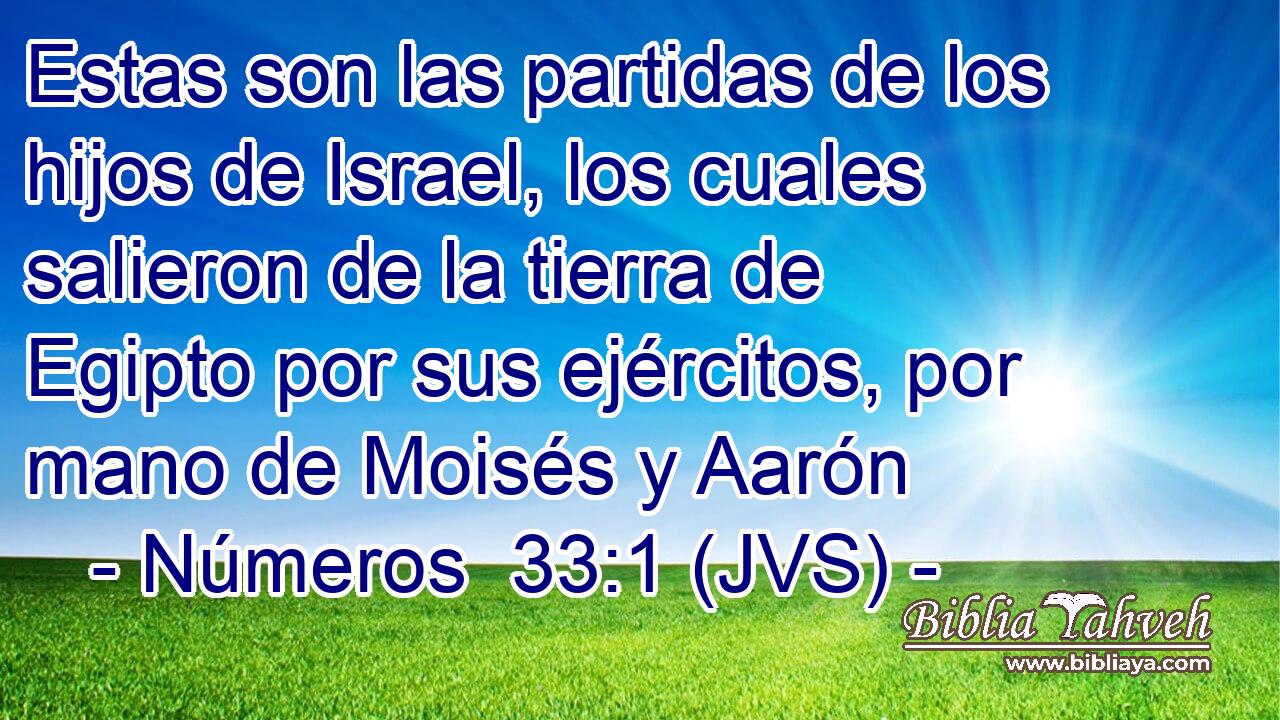 Estas son las partidas de los hijos de Israel, los cuales salieron de la tierra de Egipto por sus ejércitos, por mano de Moisés y Aarón