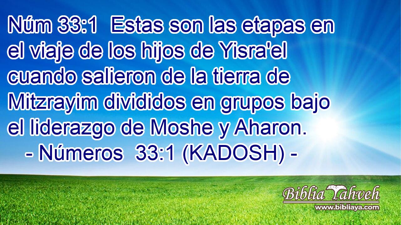  Estas son las etapas en el viaje de los hijos de Yisra'el cuando salieron de la tierra de Mitzrayim divididos en grupos bajo el liderazgo de Moshe y Aharon. 