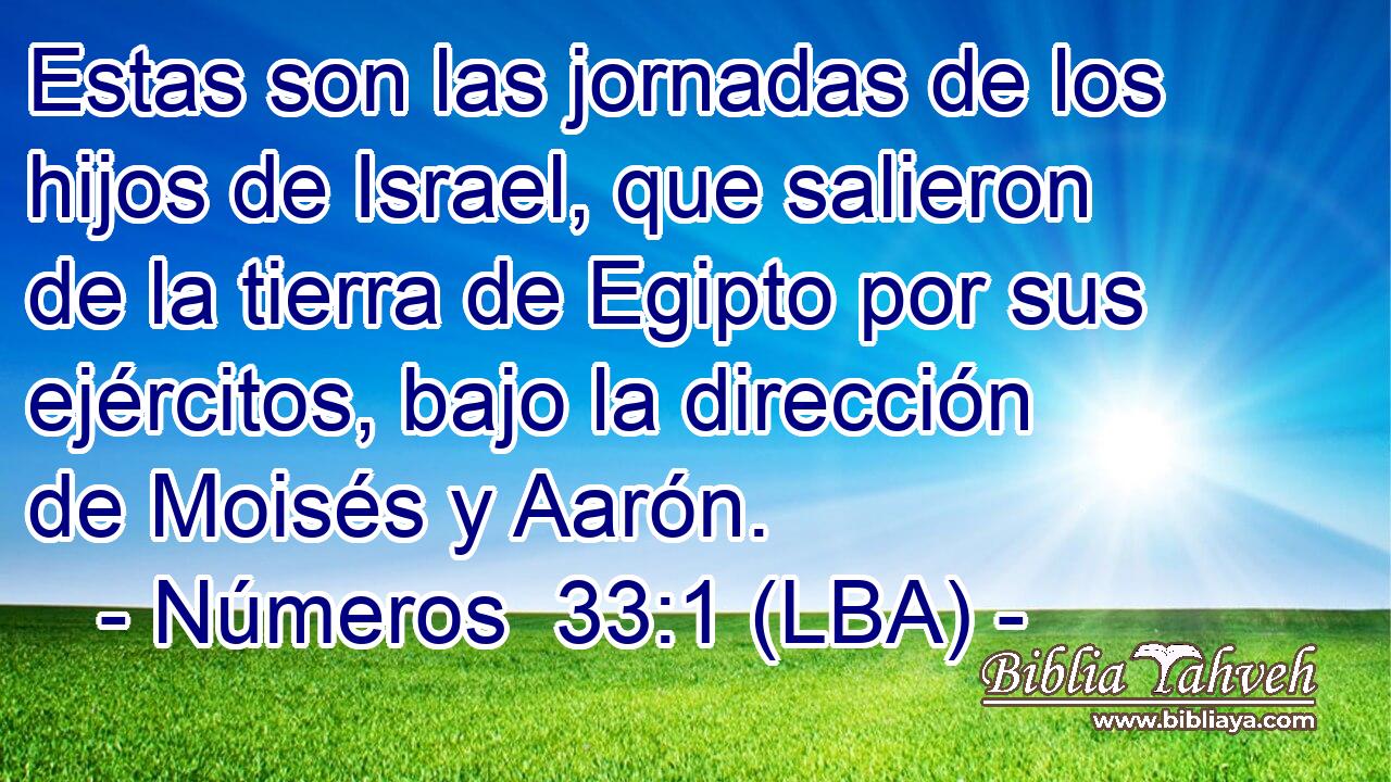 Estas son las jornadas de los hijos de Israel, que salieron de la tierra de Egipto por sus ejércitos, bajo la dirección de Moisés y Aarón.