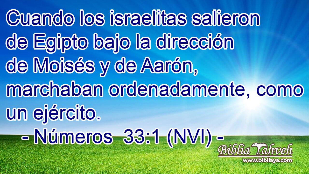  Cuando los israelitas salieron de Egipto bajo la dirección de Moisés y de Aarón, marchaban ordenadamente, como un ejército. 