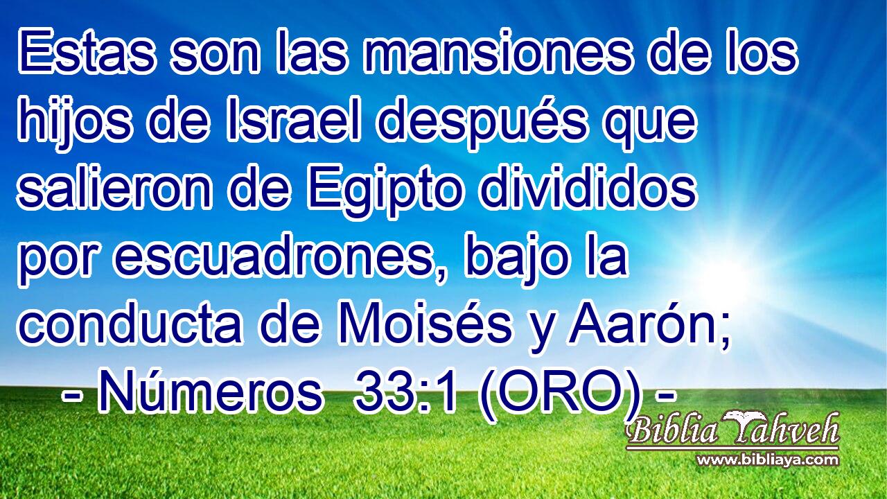  Estas son las mansiones de los hijos de Israel después que salieron de Egipto divididos por escuadrones, bajo la conducta de Moisés y Aarón; 