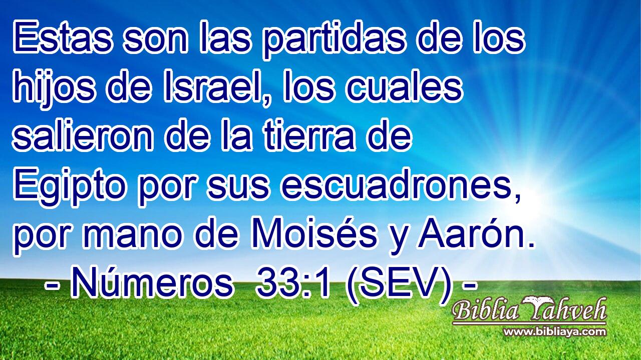 Estas son las partidas de los hijos de Israel, los cuales salieron de la tierra de Egipto por sus escuadrones, por mano de Moisés y Aarón.