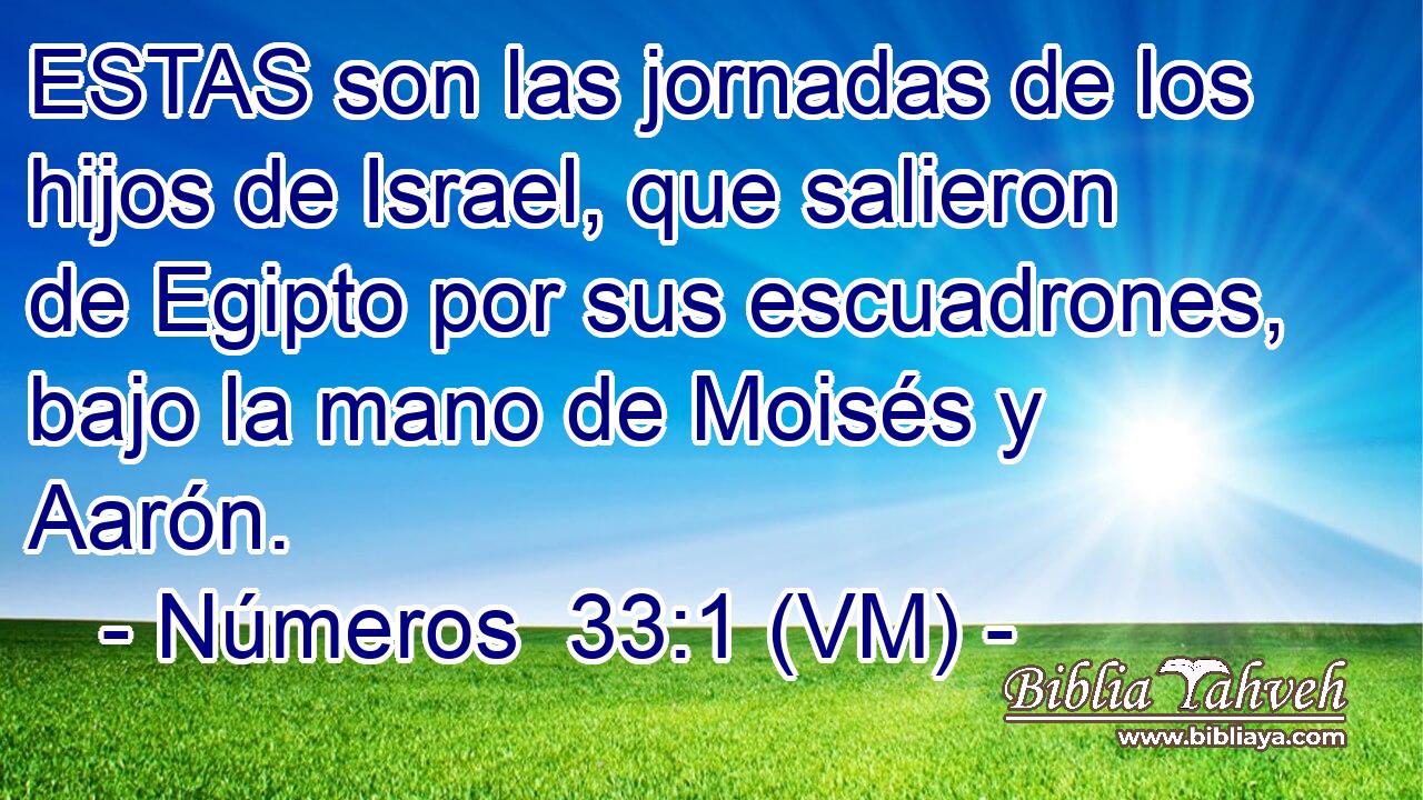  ESTAS son las jornadas de los hijos de Israel, que salieron de Egipto por sus escuadrones, bajo la mano de Moisés y Aarón. 