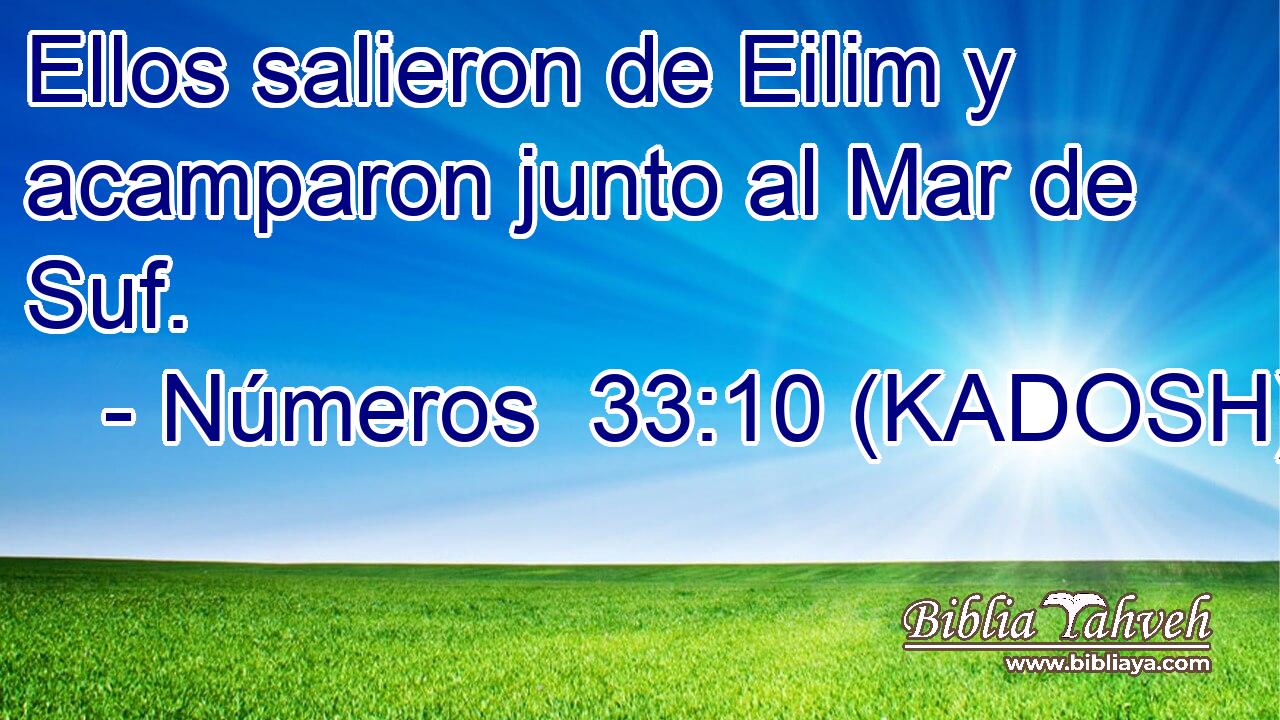  Ellos salieron de Eilim y acamparon junto al Mar de Suf. 