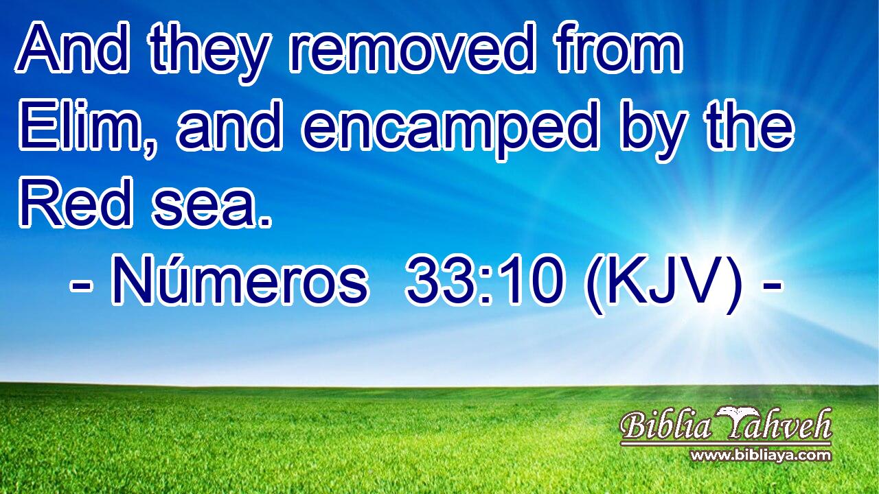And they removed from Elim, and encamped by the Red sea.