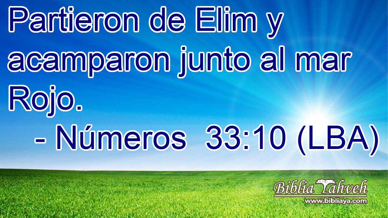 Partieron de Elim y acamparon junto al mar Rojo.