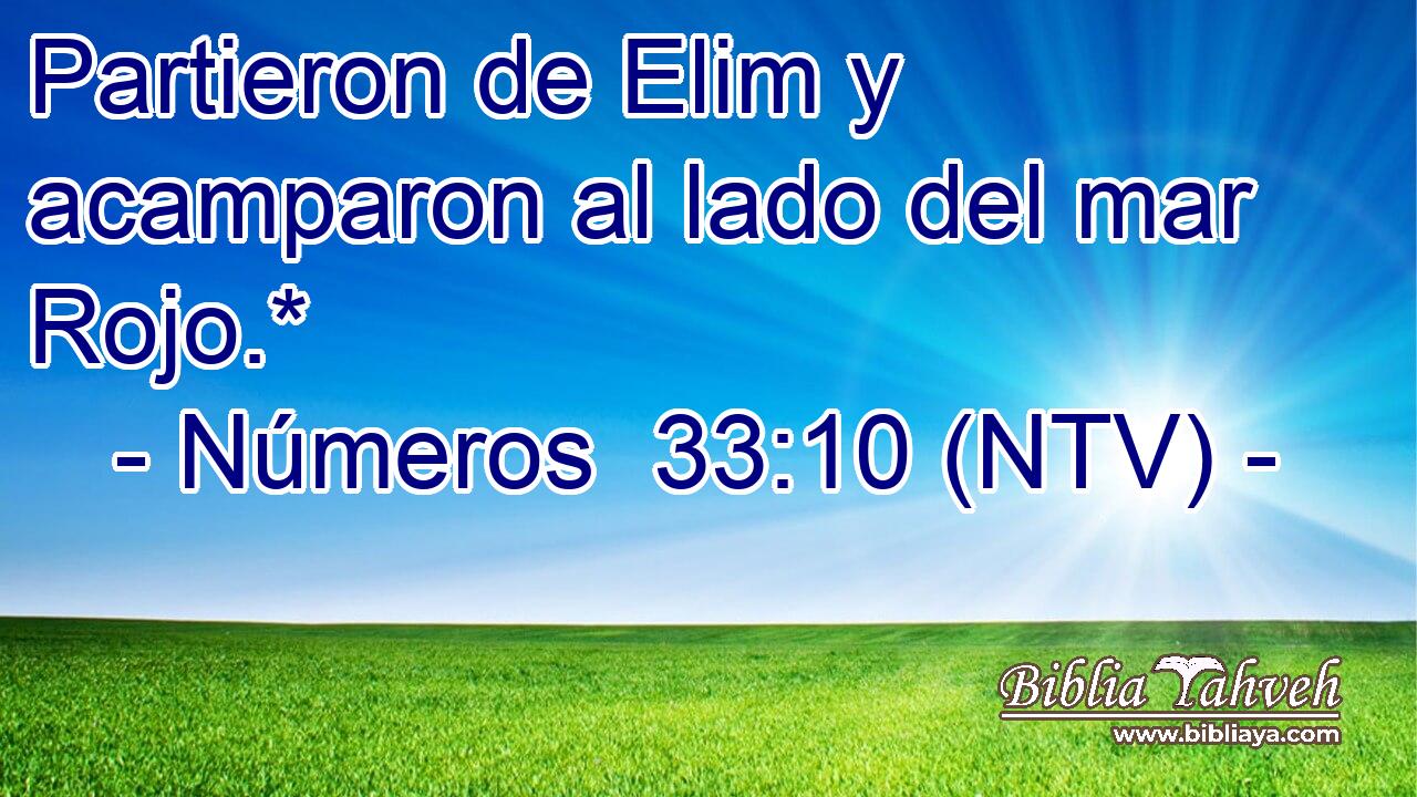 Partieron de Elim y acamparon al lado del mar Rojo.*