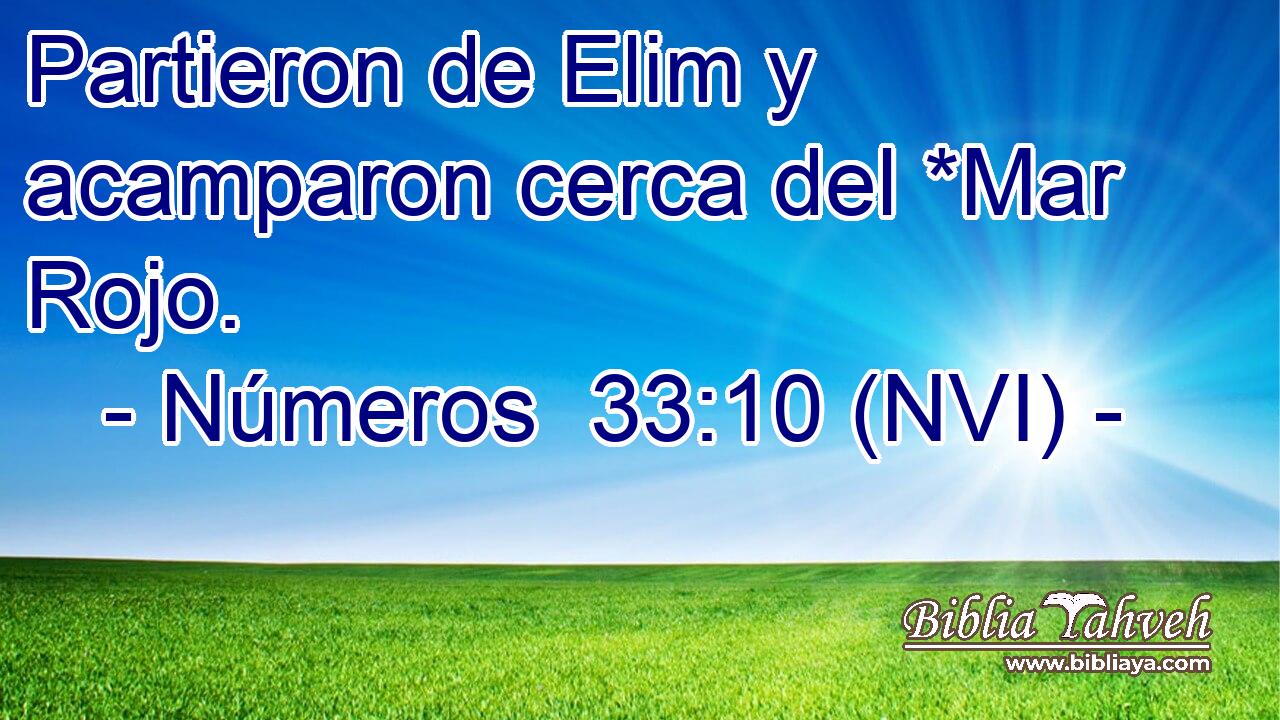  Partieron de Elim y acamparon cerca del *Mar Rojo. 