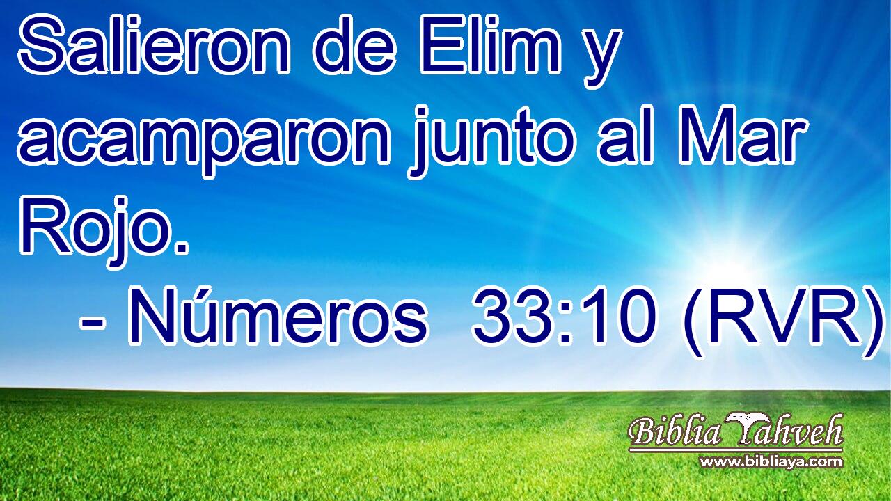 Salieron de Elim y acamparon junto al Mar Rojo.