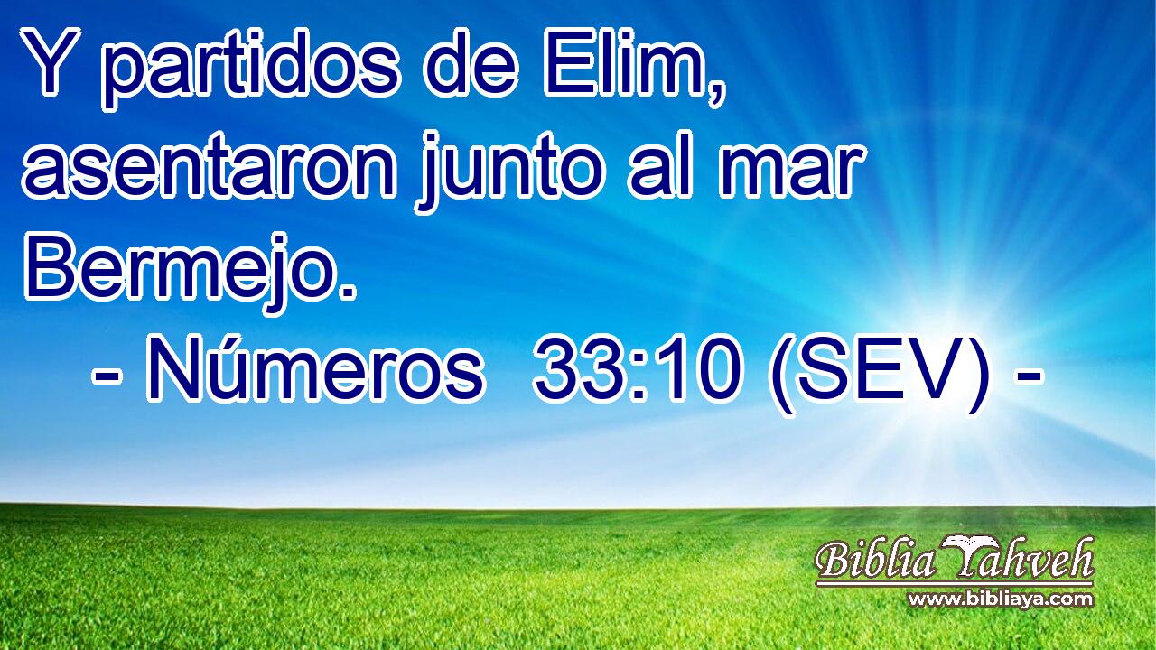 Y partidos de Elim, asentaron junto al mar Bermejo.