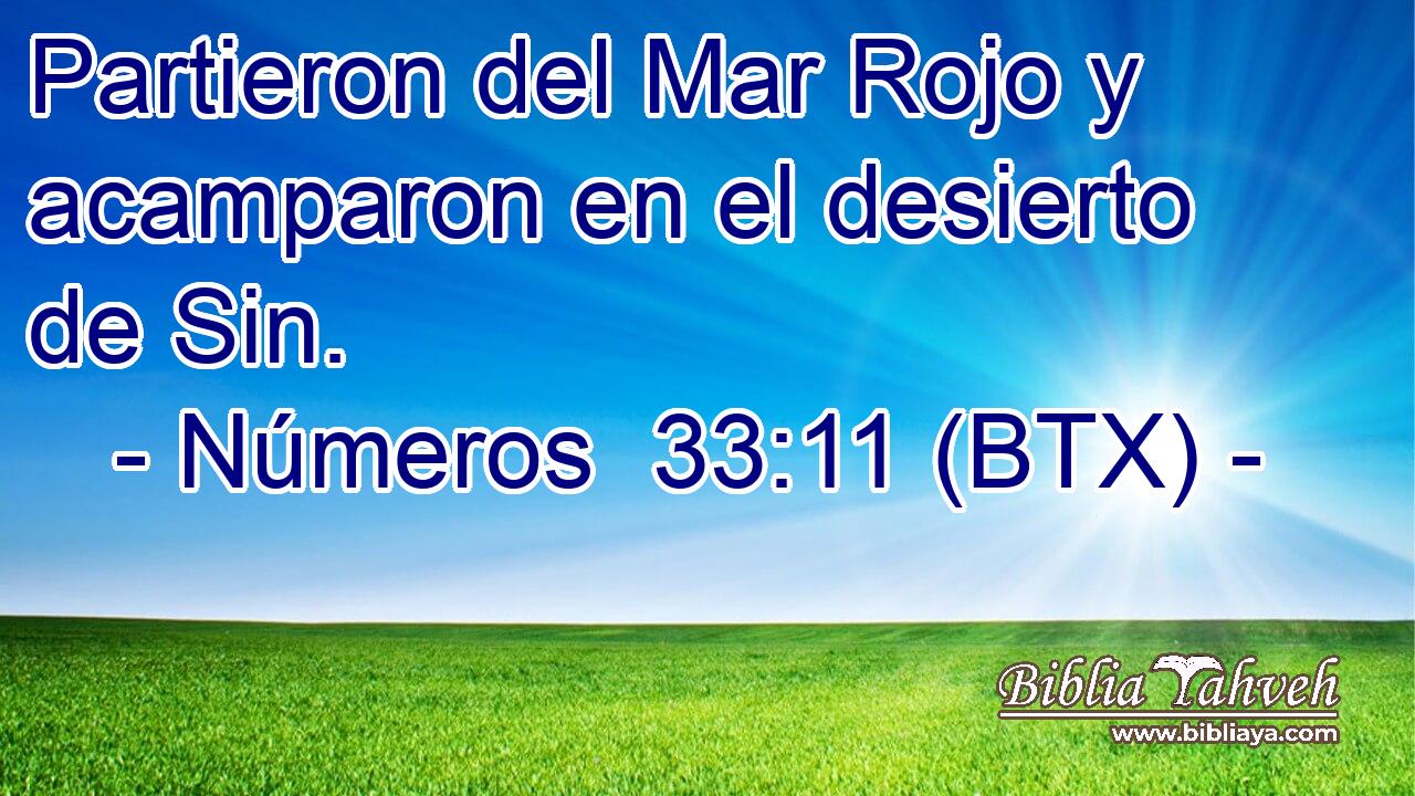 Partieron del Mar Rojo y acamparon en el desierto de Sin.