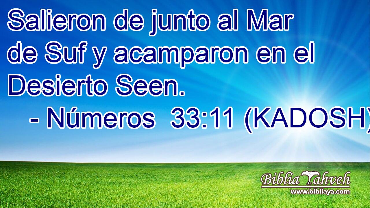  Salieron de junto al Mar de Suf y acamparon en el Desierto Seen. 