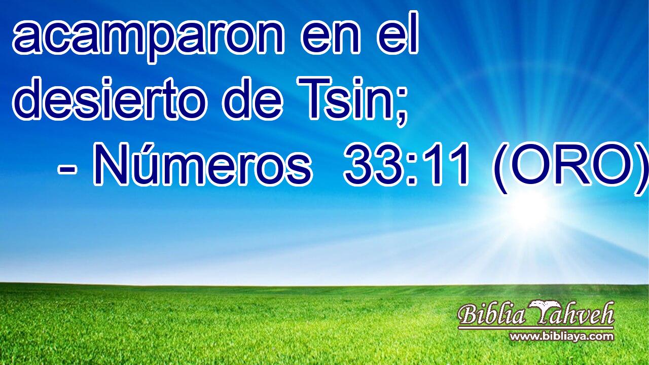  acamparon en el desierto de Tsin; 