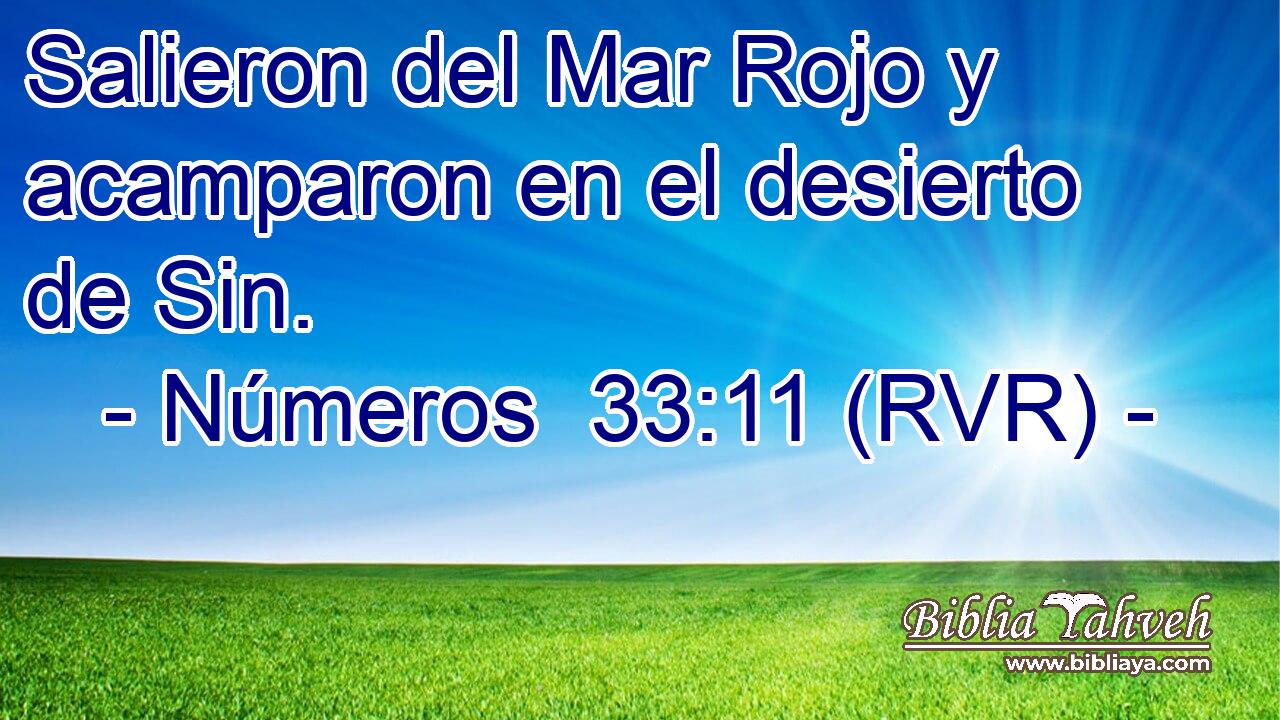 Salieron del Mar Rojo y acamparon en el desierto de Sin.