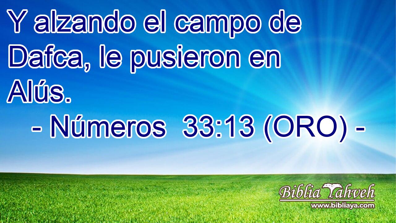  Y alzando el campo de Dafca, le pusieron en Alús. 