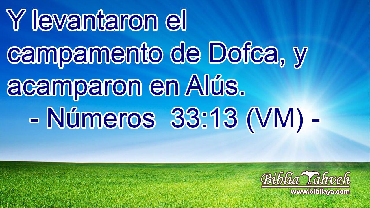  Y levantaron el campamento de Dofca, y acamparon en Alús. 