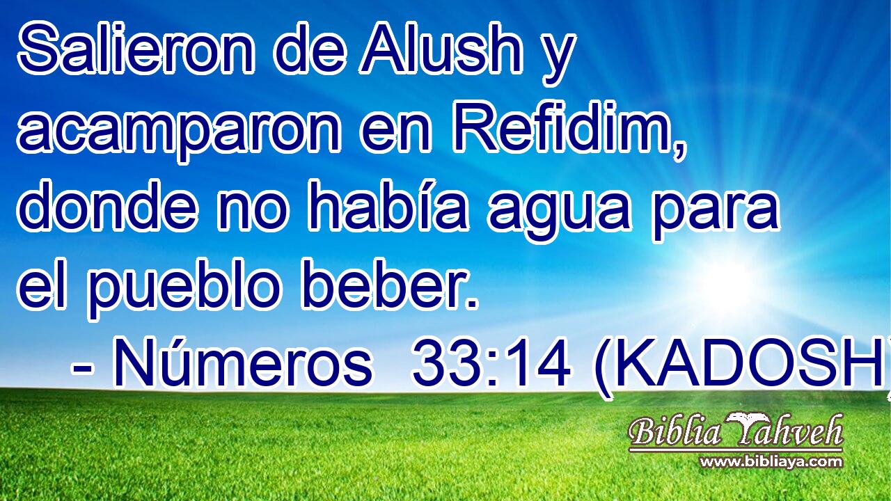  Salieron de Alush y acamparon en Refidim, donde no había agua para el pueblo beber. 