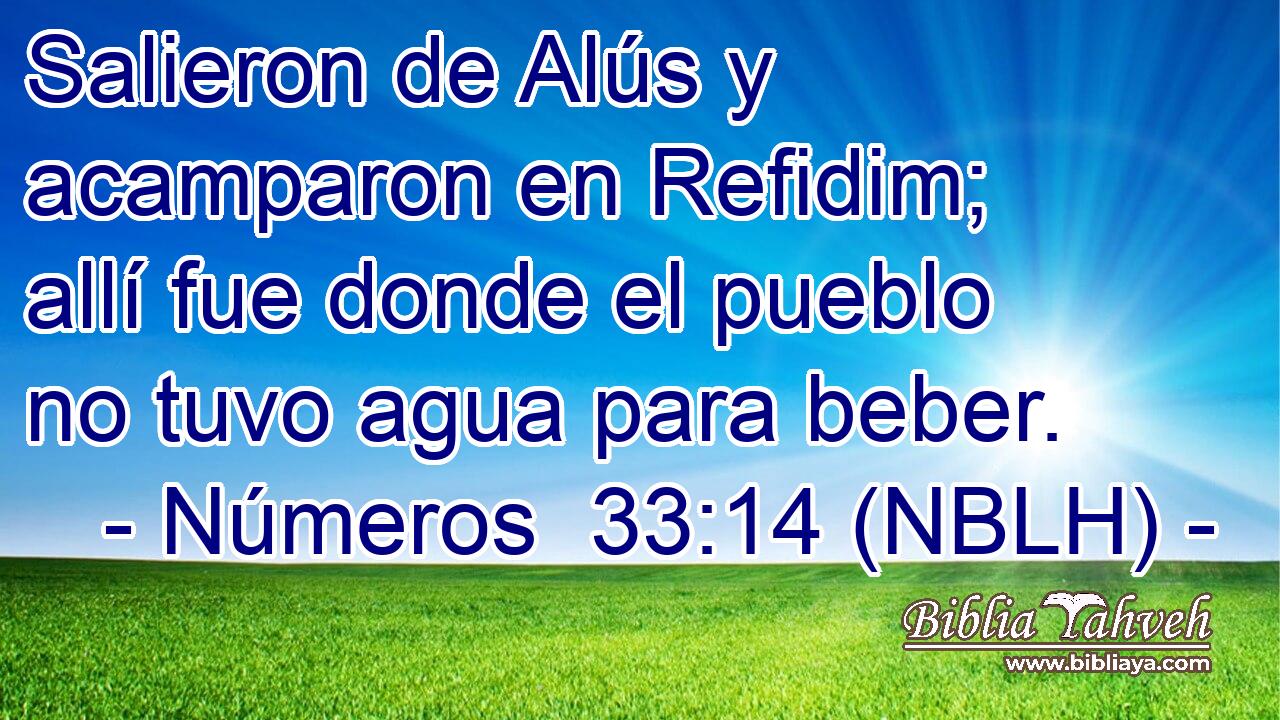  Salieron de Alús y acamparon en Refidim; allí fue donde el pueblo no tuvo agua para beber. 