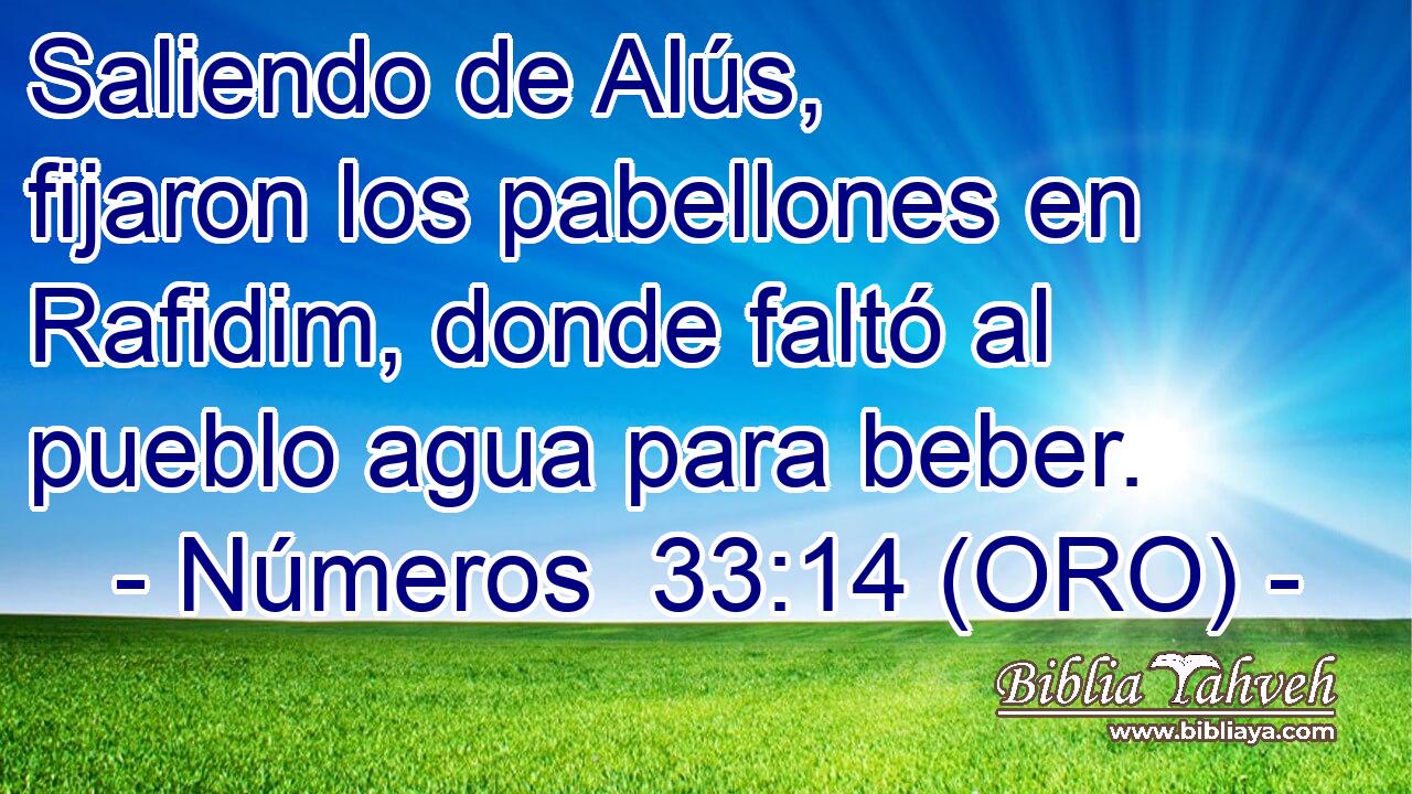  Saliendo de Alús, fijaron los pabellones en Rafidim, donde faltó al pueblo agua para beber. 