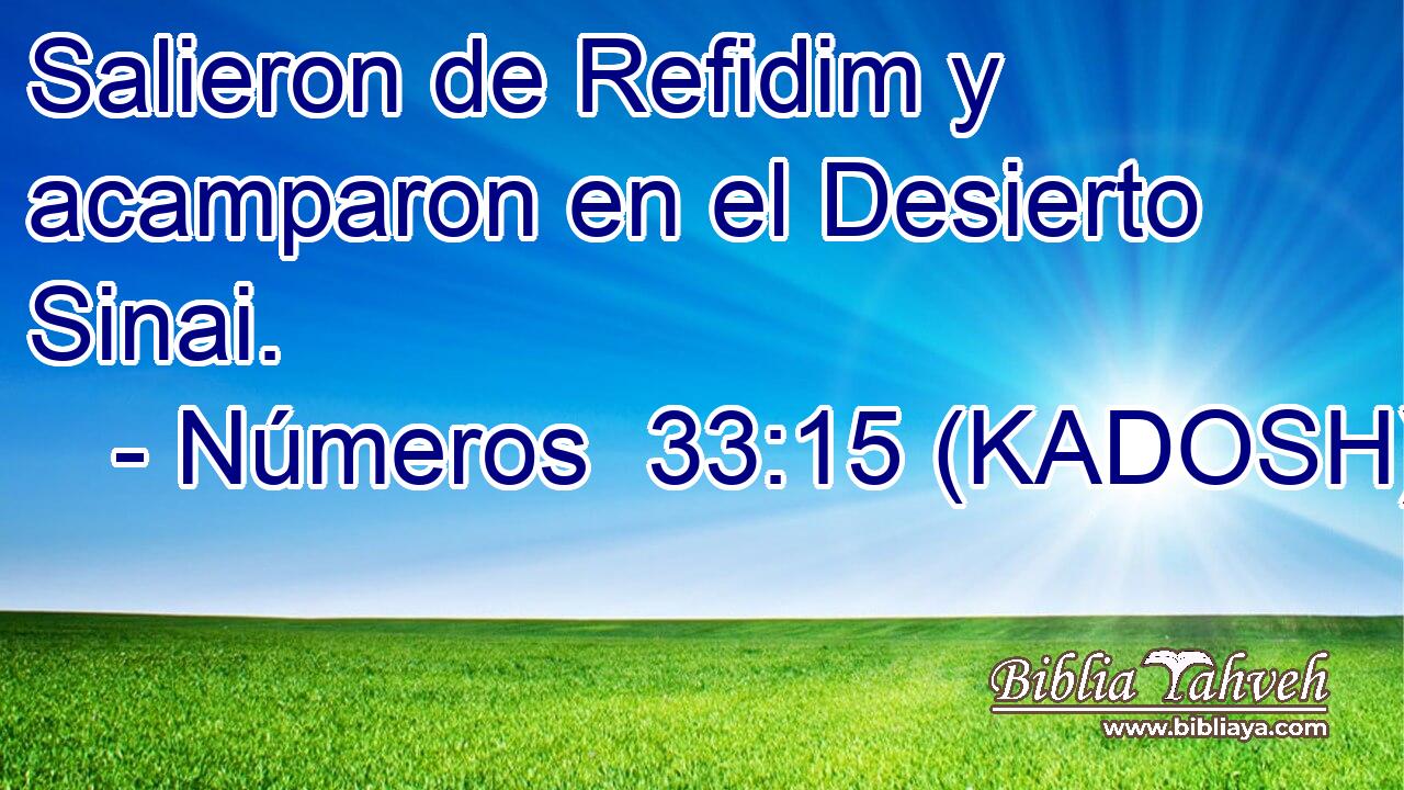  Salieron de Refidim y acamparon en el Desierto Sinai. 