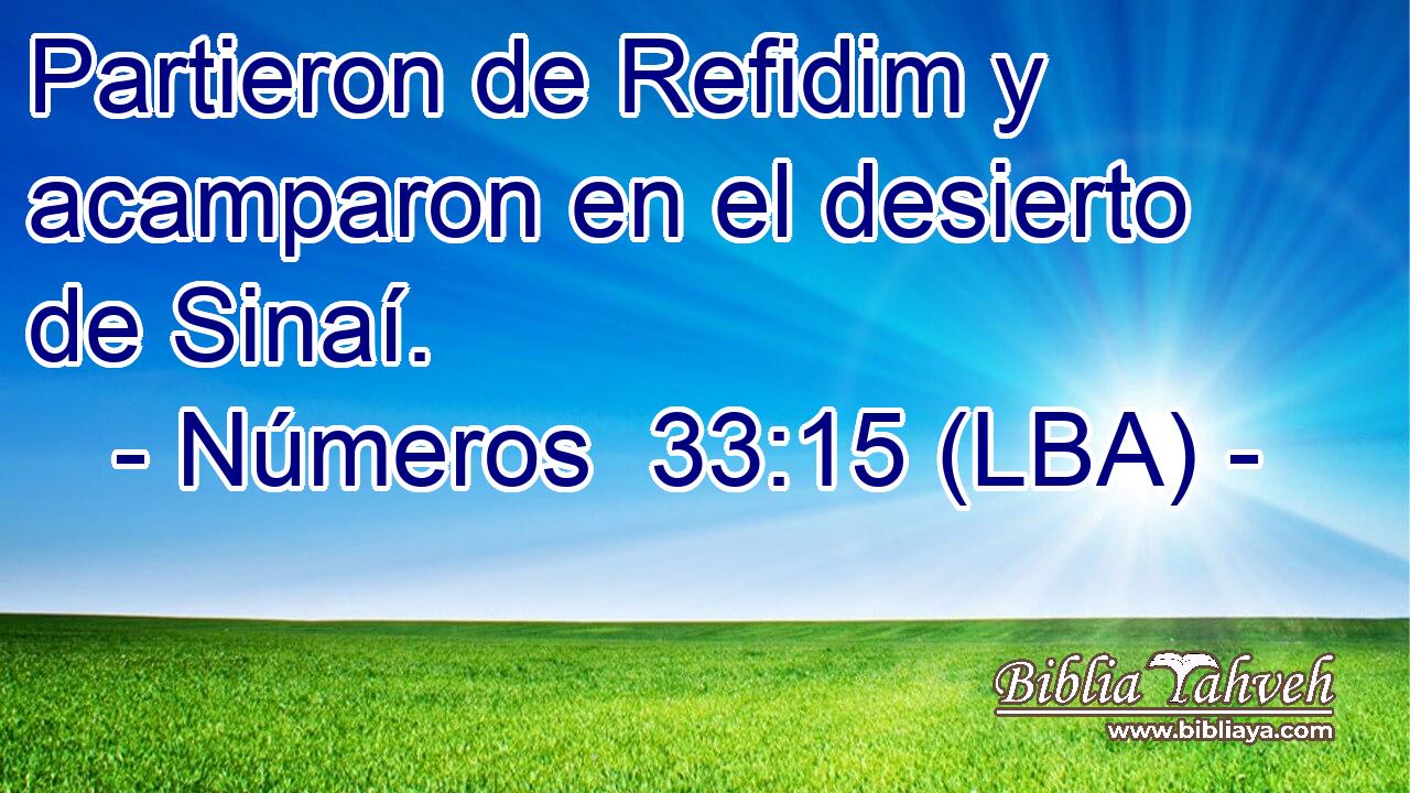 Partieron de Refidim y acamparon en el desierto de Sinaí.