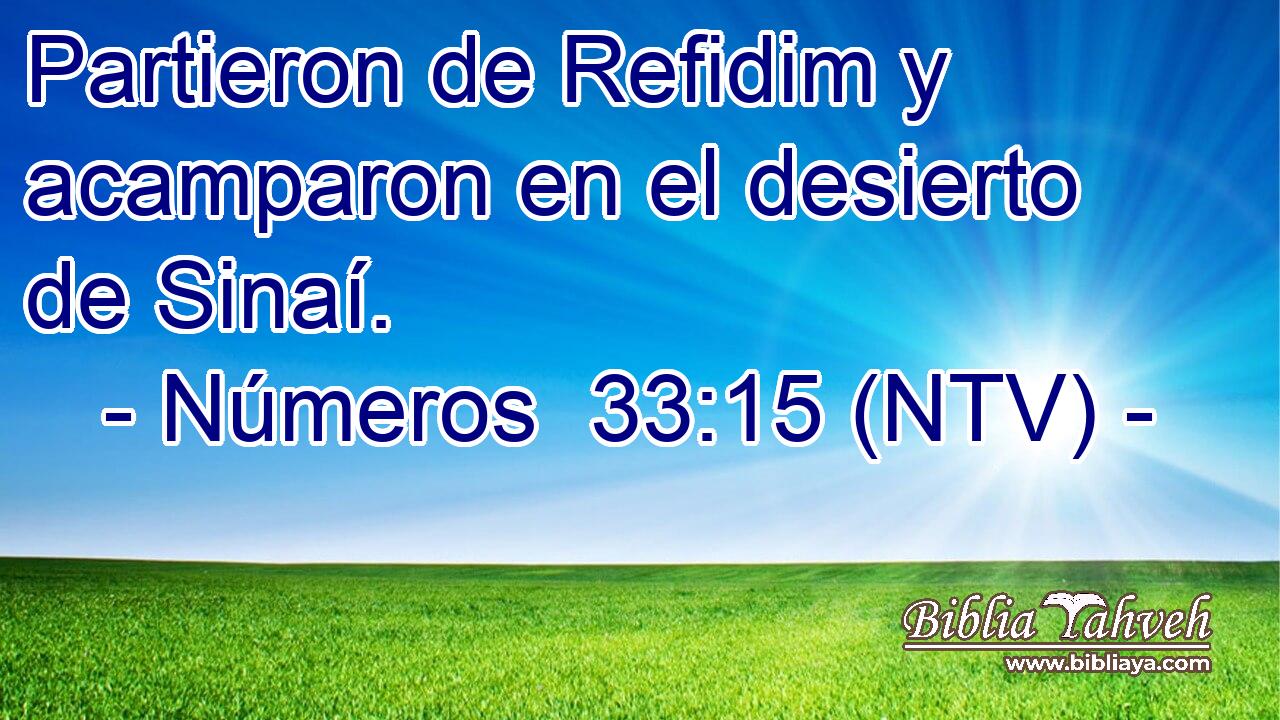 Partieron de Refidim y acamparon en el desierto de Sinaí.