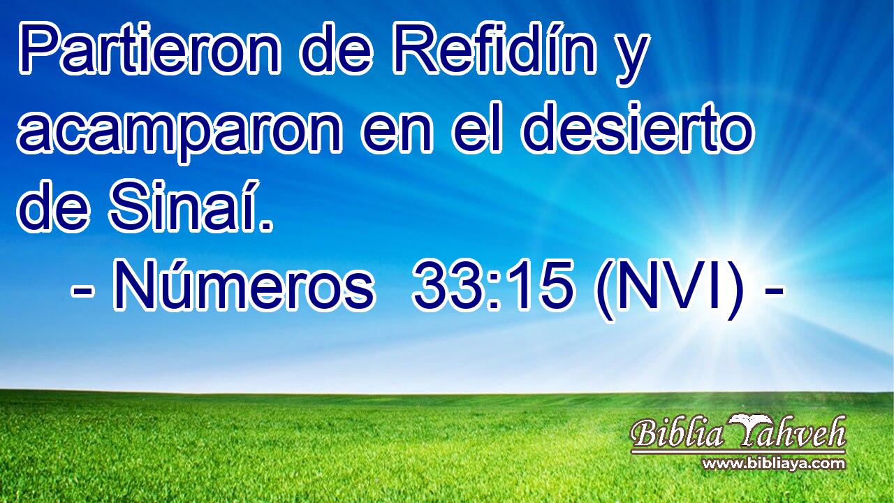  Partieron de Refidín y acamparon en el desierto de Sinaí. 