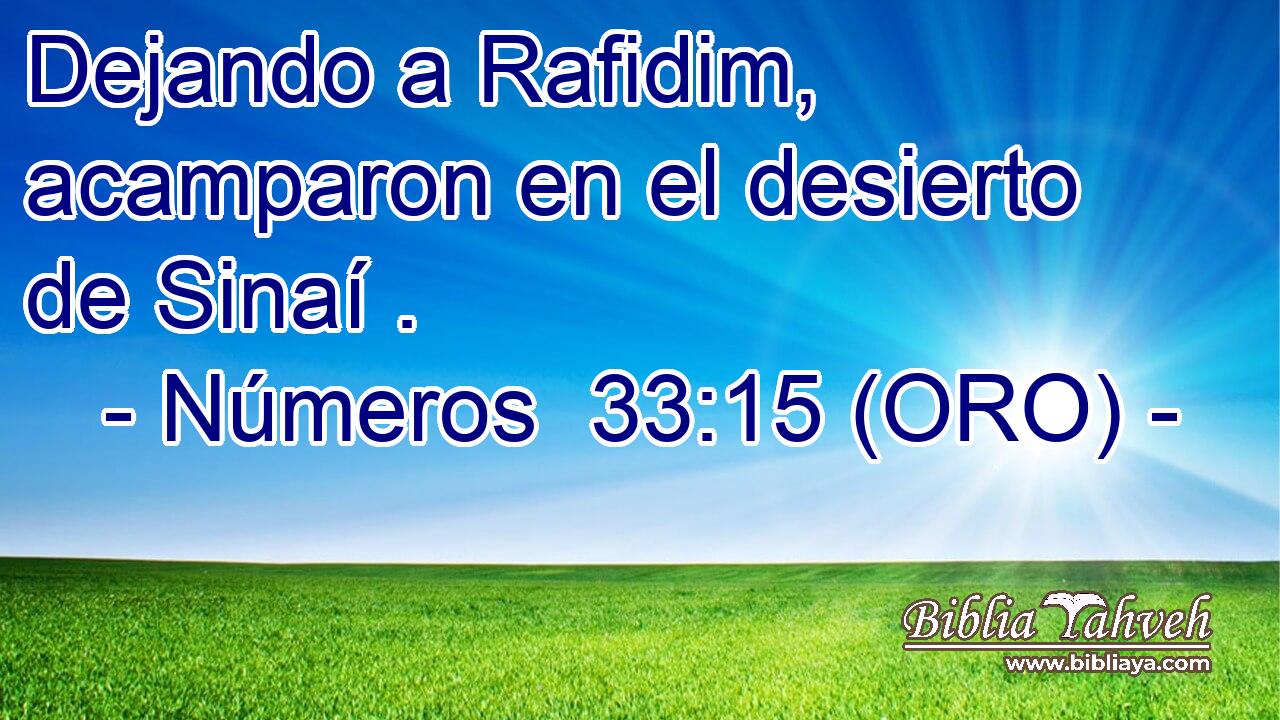  Dejando a Rafidim, acamparon en el desierto de Sinaí . 