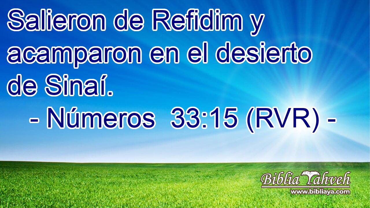 Salieron de Refidim y acamparon en el desierto de Sinaí.