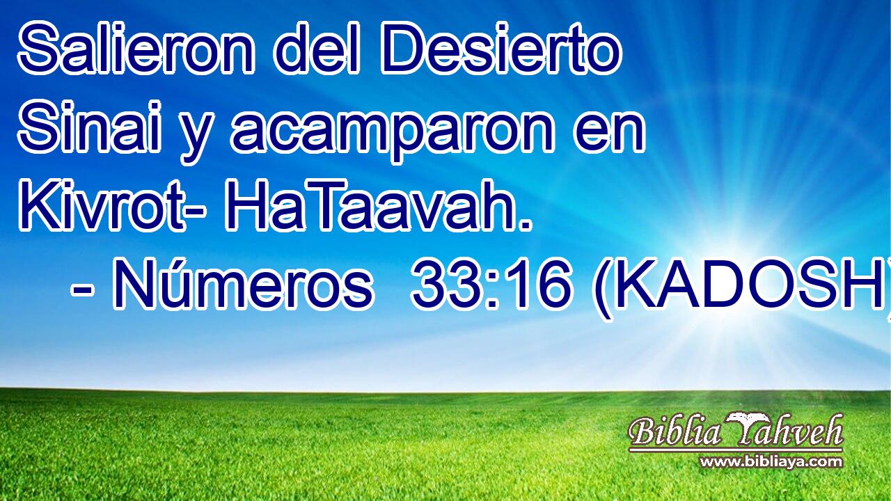  Salieron del Desierto Sinai y acamparon en Kivrot- HaTaavah. 
