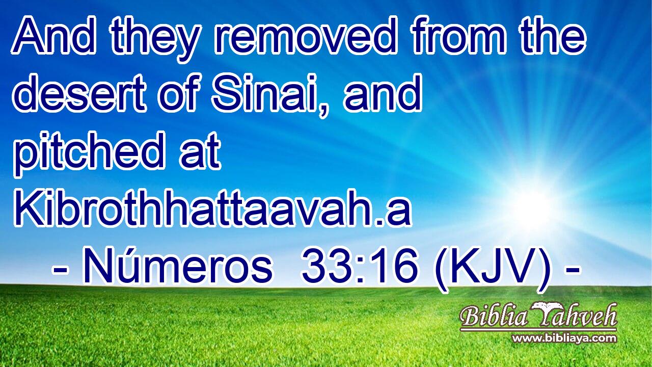 And they removed from the desert of Sinai, and pitched at Kibrothhattaavah.a